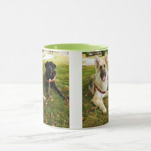 C マグカップ (中央)