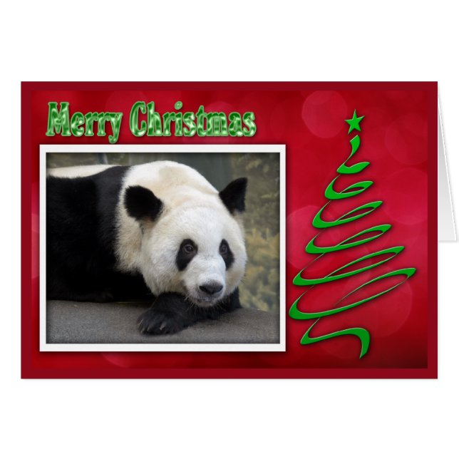 c 2011パンダ0059 (正面横)