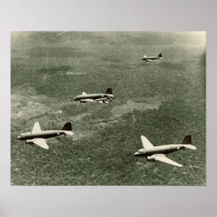 C-47sおよびP 40年代 ポスター
