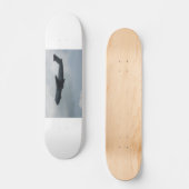 C-5銀河系 スケートボード (正面)