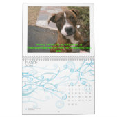 C.A.T.S. カレンダー2009年 カレンダー (3月 2026)