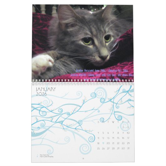 C.A.T.S. カレンダー2009年 カレンダー (1月 2026)