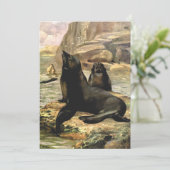 C.E.スワンによるカリフォルニアアシカ、ヴィンテージ動物 (スタンド正面)