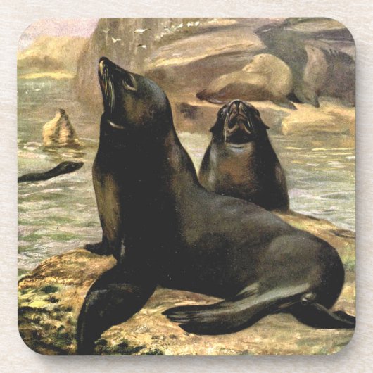 C.E.スワンによるヴィンテージのカリフォルニアアシカ コースター (正面)