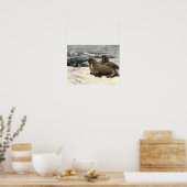 C・E・スワンによるヴィンテージのセイウチ ポスター (キッチン)