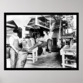 C&H砂糖加工1914 ポスター (正面)