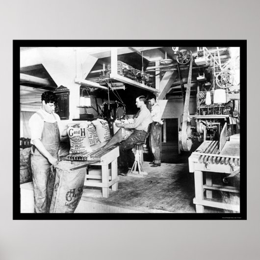 C&H砂糖加工1914 ポスター (正面)