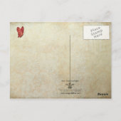 c h r i s t a . b e l e eポストカード ポストカード (裏面)