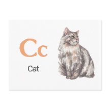 C is for Cat - Alphabet Flash Card
