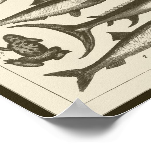 C R I T T E R S ポスター (角)