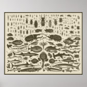 C R I T T E R S ポスター (正面)