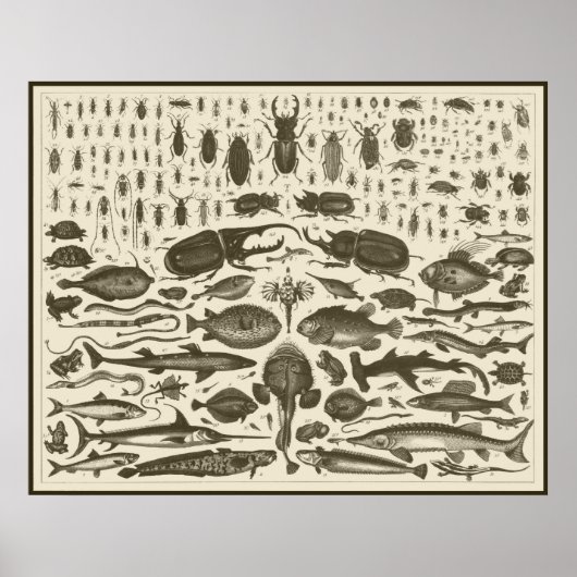 C R I T T E R S ポスター (正面)