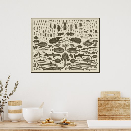 C R I T T E R S ポスター (キッチン)