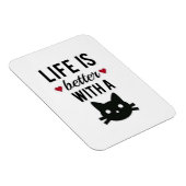 caで寿命が良いと言う柔軟な磁石 マグネット (右側)