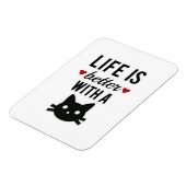 caで寿命が良いと言う柔軟な磁石 マグネット (左側)