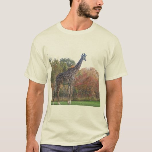 CA6RUTYJ Tシャツ (正面)