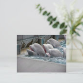 CA81WX4Z ポストカード (スタンド正面)