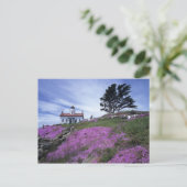 CA、クレセントシティ、バッテリポイント灯台 ポストカード (スタンド正面)