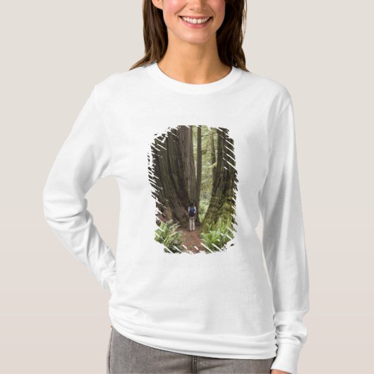 CA, ジェデダイヤ・スミス・レッドウッズ州立公園, Tシャツ (正面)