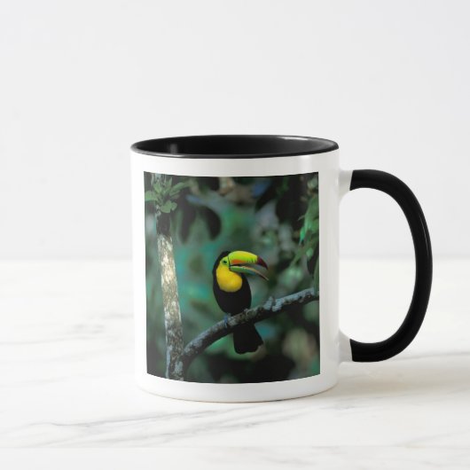 CA、パナマ、ソベラニアNP、ケール州旗を掲げたトゥカン マグカップ (右)