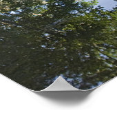 CA、ヨセミテNP、エルキャピタンがメルセドに反映 ポスター (角)