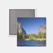 CA、ヨセミテNP、エルキャピタンとのバレービュー、 マグネット (正面/裏面)