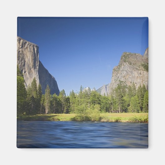 CA、ヨセミテNP、エルキャピタンとのバレービュー、 マグネット (正面)