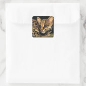 CA,中央パナマ,ソベラニアNP,マーゲイ2 スクエアシール (バッグ)