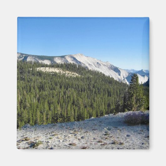 CA、Yosemite、Olmstead Pointからのビュー マグネット (正面)