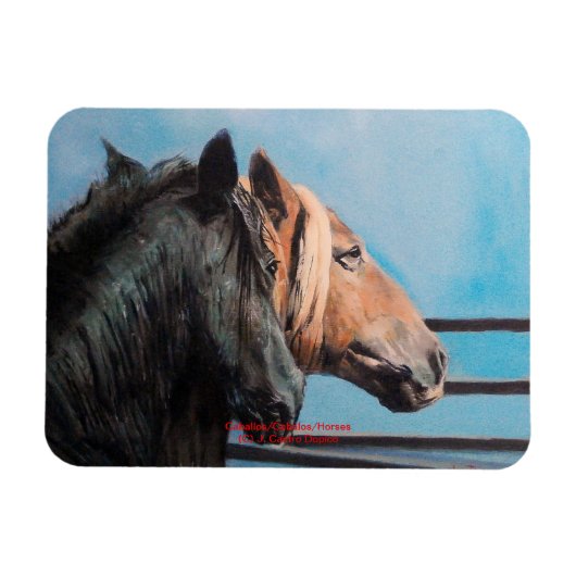 Caballos/Cabalos/Horses マグネット (横)