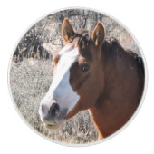 Cabellero セラミックノブ (正面)