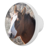 Cabellero セラミックノブ (右)