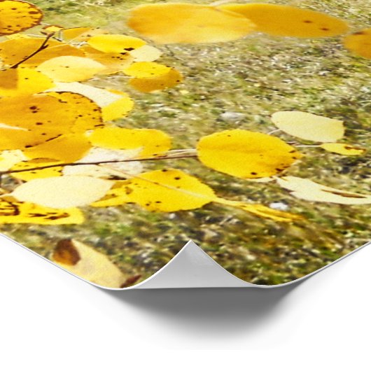 Cabin in Aspens ポスター (角)