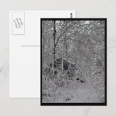 Cabin in the Woods ポストカード (正面/裏面)