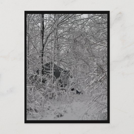 Cabin in the Woods ポストカード (正面)