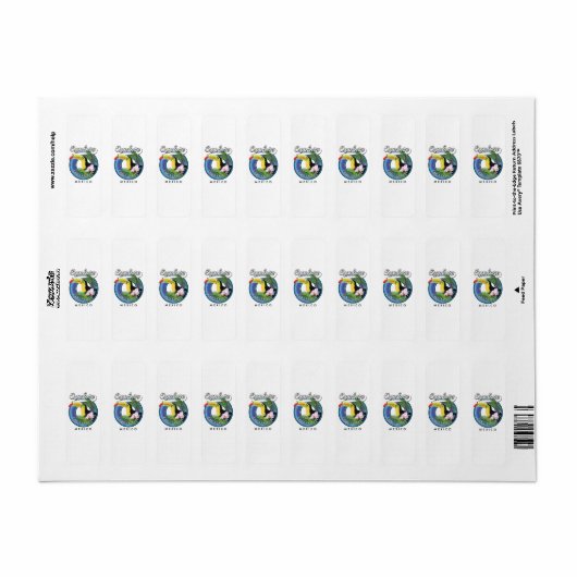 cabo san lucas mexico travel patch photo p ラベル (フルシート)