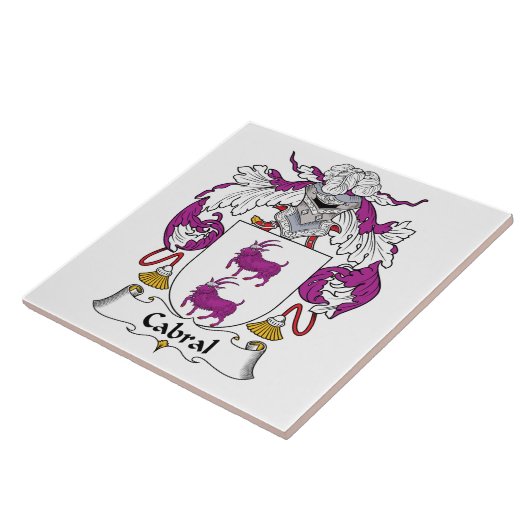 Cabralの家紋 タイル (側面)