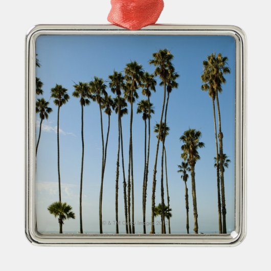 Cabrilloの道、サンタ・バーバラ、カリフォルニア メタルオーナメント (正面)