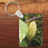 cacao pod キーホルダー (正面)