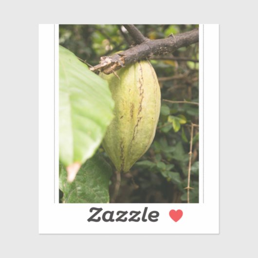 cacao pod シール (シート)