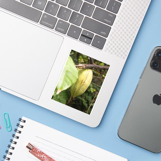 cacao pod シール (ノートパソコンとiPhone)