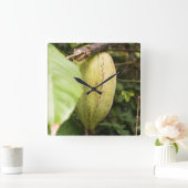 cacao pod スクエア壁時計 (ホーム)