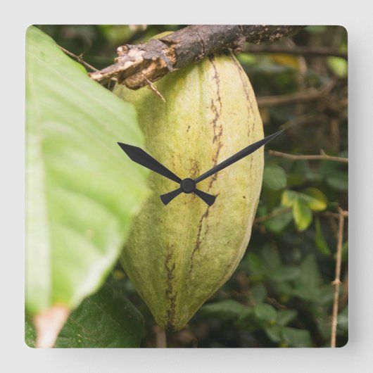 cacao pod スクエア壁時計 (正面)