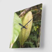 cacao pod スクエア壁時計 (傾斜)