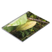 cacao pod ノートブック (左側)