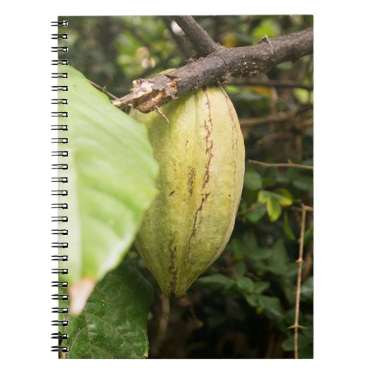 cacao pod ノートブック (正面)