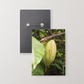 cacao pod 缶バッジ (正面/裏面)