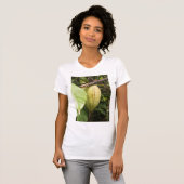 cacao pod tシャツ (正面フル)