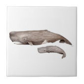 Cachalote, madre y cría タイル (正面)