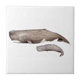 Cachalote, madre y cría タイル